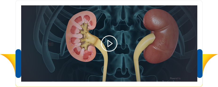 Patient Education Videos